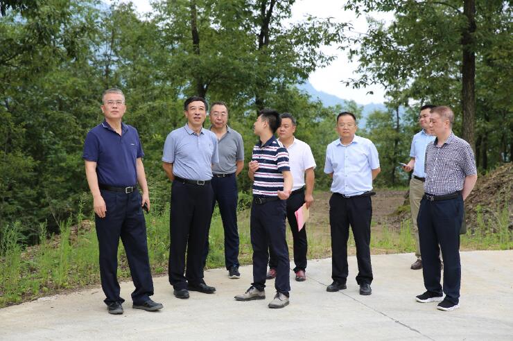 中國能建總經(jīng)理、黨委副書記孫洪水一行赴陜西鎮(zhèn)巴縣調(diào)研定點扶貧工作