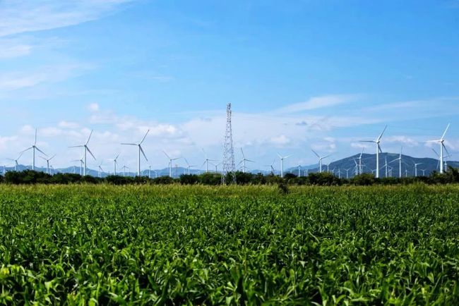 收購墨西哥818MW光伏電站，國家電投境外光伏電站裝機超6GW