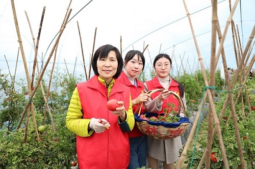 國(guó)網(wǎng)寧波市鄞州區(qū)供電公司：人大代表變身主播，“寧波媽媽“帶貨助農(nóng)