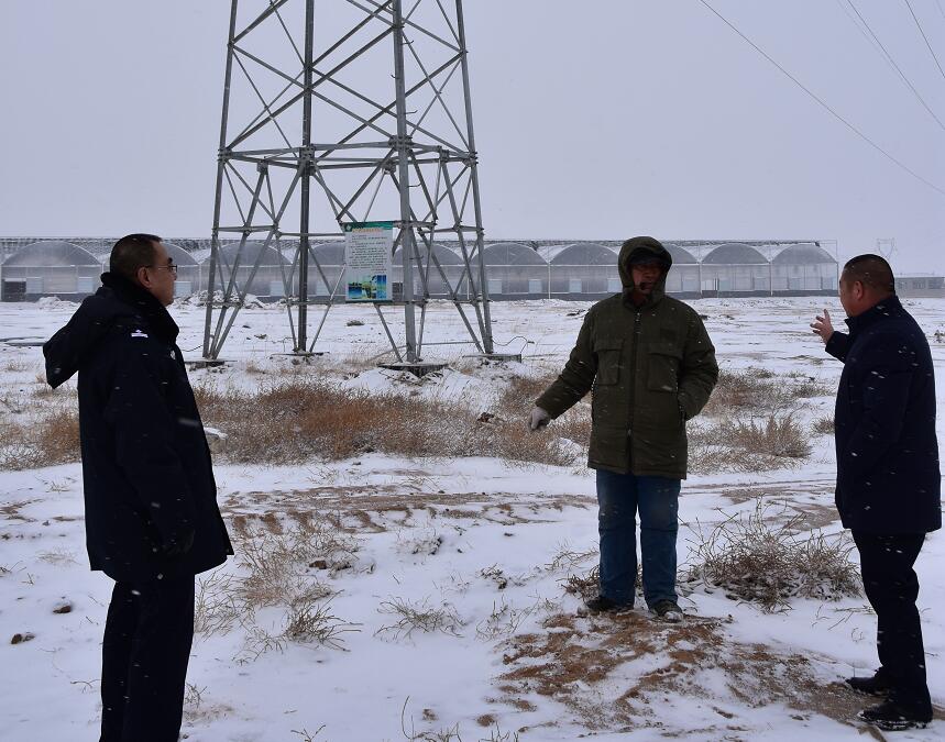 二連浩特供電公司：開展客戶側(cè)安全檢查，確?？诎犊蛻粝楹兔髁吝^春節(jié)