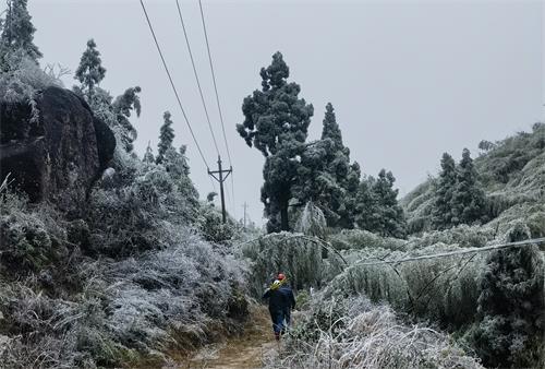國網壽寧縣供電公司寒潮特巡嚴防線路覆冰