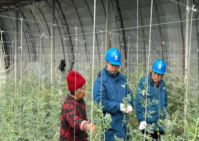 山東惠民供電公司：走訪種植大棚，優(yōu)化農(nóng)業(yè)營商環(huán)境