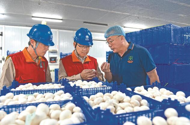 國網漣水縣供電公司鄉(xiāng)村振興注入新動能