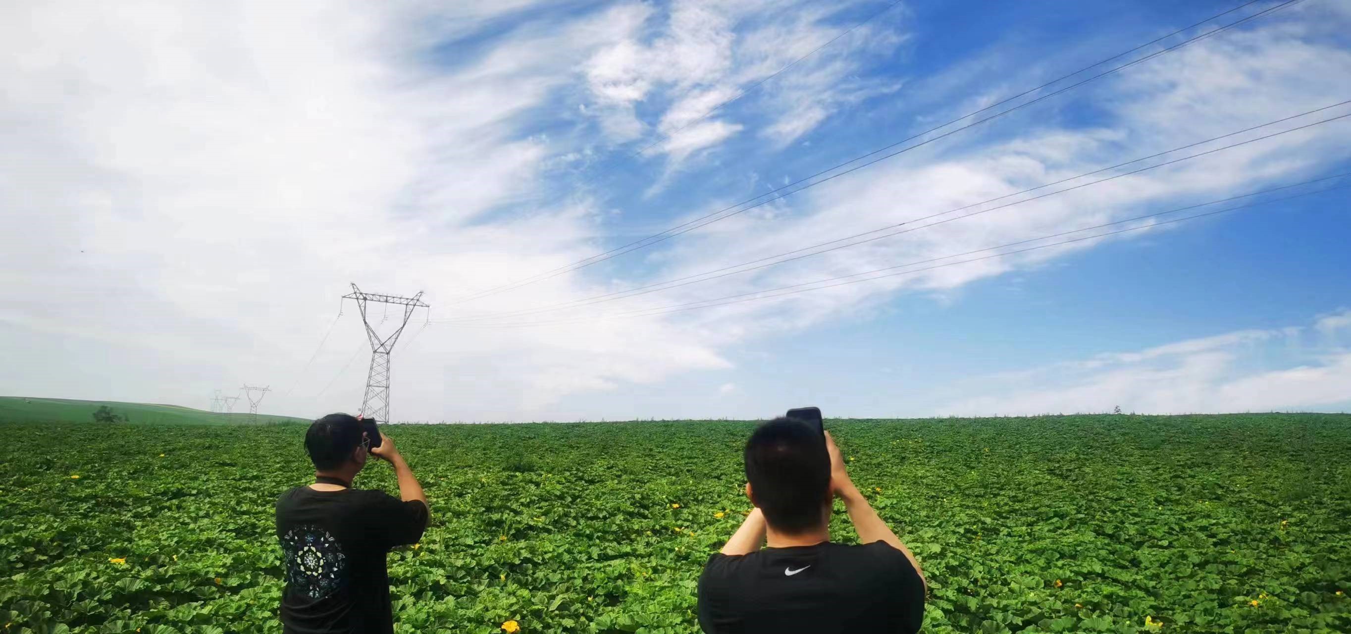 四子王輸變電管理處：防外力破壞，助安全運行