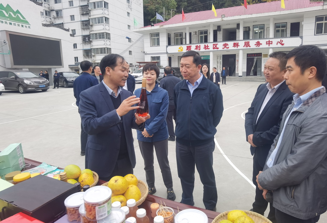 中核集團總經(jīng)理、黨組副書記顧軍赴陜西白河、旬陽調(diào)研鄉(xiāng)村振興工作