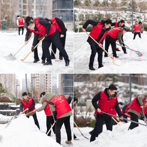 白雪更映“志愿紅”，山東電建公司志愿者掃雪除冰在行動