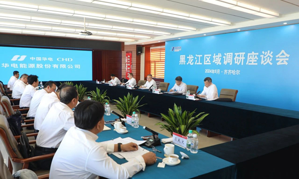 華電集團黨組副書記總經(jīng)理葉向東調研黑龍江齊齊哈爾區(qū)域企業(yè)