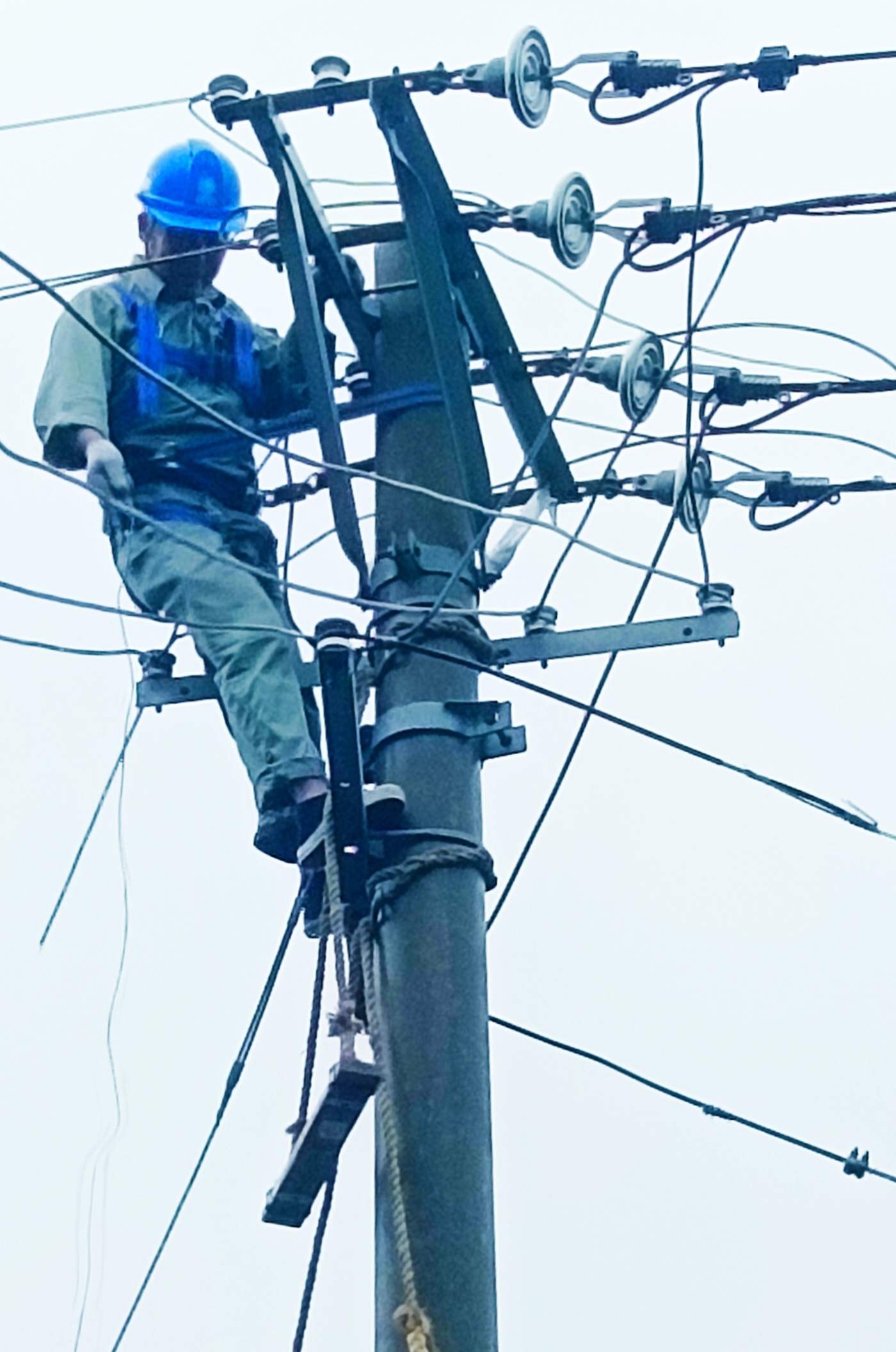 這種行為，供電所獎勵500元